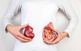 Böbrek Ameliyatı Riskleri ve Sonrası